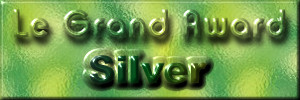 SILVER AWARD